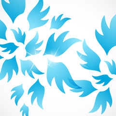 abstract background: wing