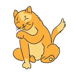 The cat licks a paw (Vector)
