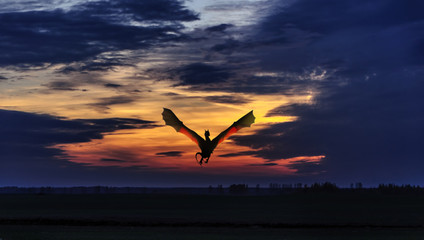 Закат во времена эры драконов.