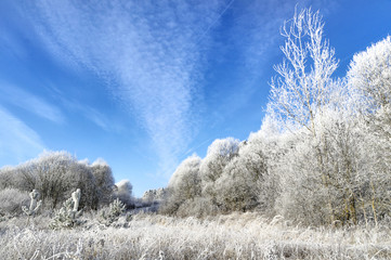 Под небом светло голубым © totol1959