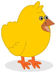 chick profile