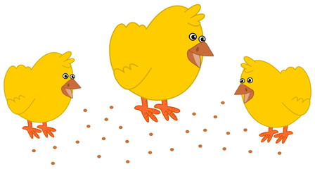 chick in barnyard pecking