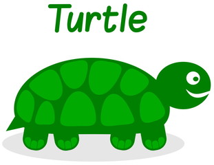 profile turtle