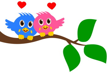 bird couple on branch