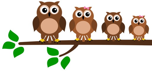 family bird on branch