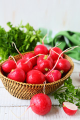 radish for salad