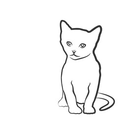 Котенок