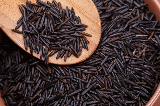 wild rice - Powered by Adobe