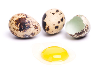 quail eggs