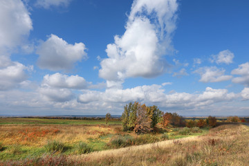 autumn landscape