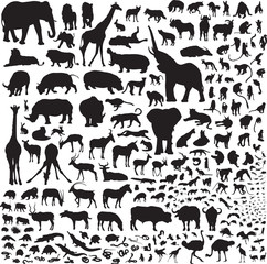 Fototapeta premium Over 200 silhouettes fauna of Africa
