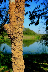Fototapeta premium Views of Thailand