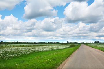 Road to the horizon