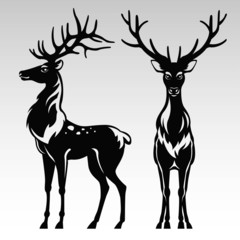 Black and white deers