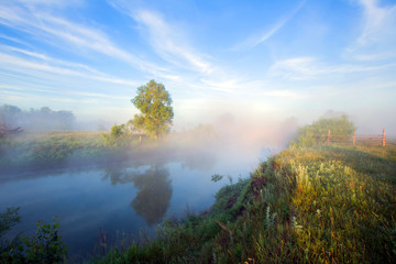 Naklejka na ściany i meble Foggy morning on the river