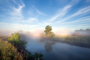 Plakat fog on the river