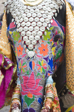 Colorful hand painted elephant , Holi festival , Jaipur, Rajasthan, India	