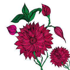 Floral ornate pattern