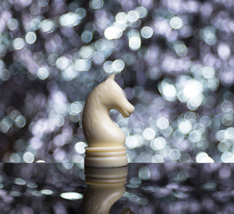 White Chess Horse on blur background.