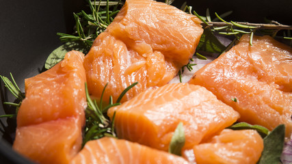 Lachs