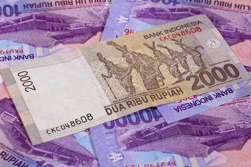 Fototapeta premium Different rupiah banknotes from Indonesia