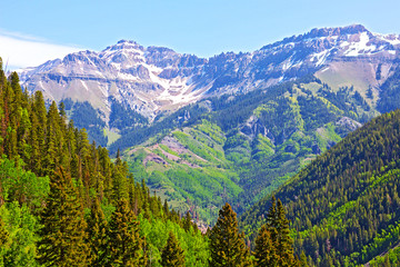 Mountains and forest surrounding Telluride, Colorado.