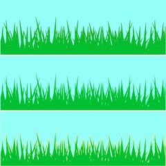 set of grass. vector illustration