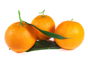 Three tangerines