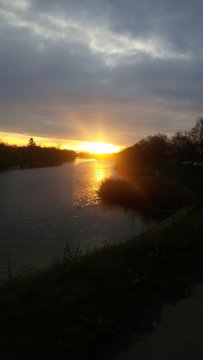 Bosut