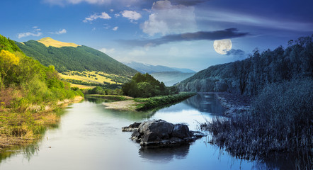 forest river with stones and grass