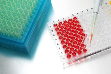 Pipette with well plate filled with samples in lab