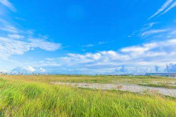 Grassland of Okinawa, blue sky and clouds