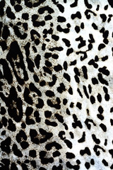  tiger fabric texture