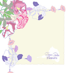 Background with bindweed and flowers-02