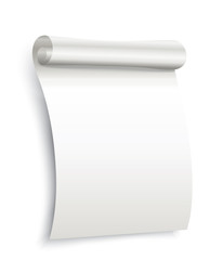 Paper scroll on white