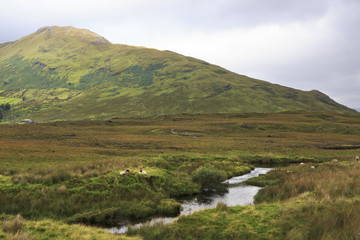 Fototapeta premium National park Connemara.