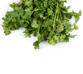 green Coriander isolated on white