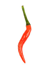 chili pepper isolated