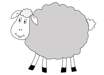 funny sheep