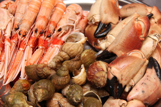 Plateau de fruits de mer