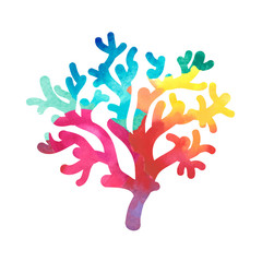 hand drawn decorative watercolor coral