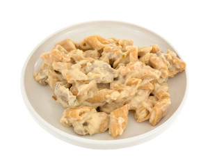 Plate of chicken with pasta in jalapeno sauce