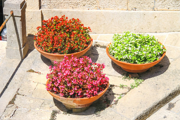 Three flower pots with begonia on the sidewalk Italian city
