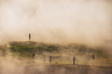 Beautiful Tuscan landscape surrounded by fog