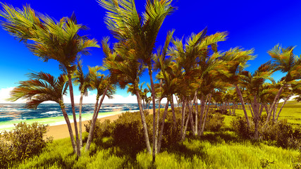 Fototapeta premium beautiful shore
