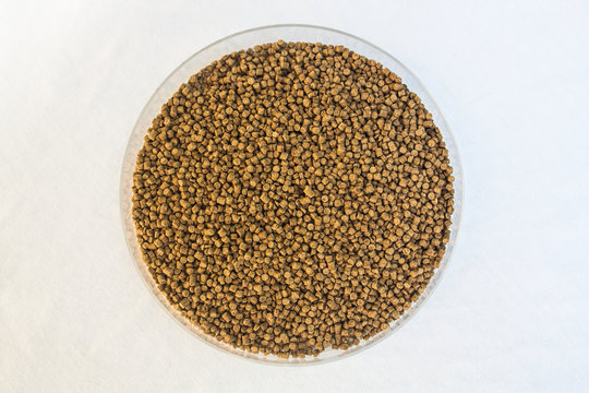 Sinking Pellet Shrimp Feed