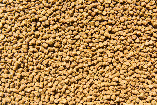 Fototapeta Sinking Pellet Shrimp Feed