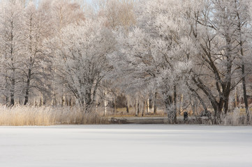 winter landscape frozen lake