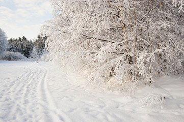 winter landscape track footsteps