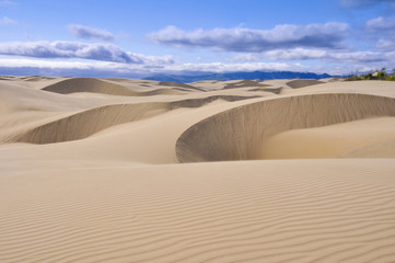 Fototapeta na wymiar Oceano Dunes Natural Preserve, California (USA)